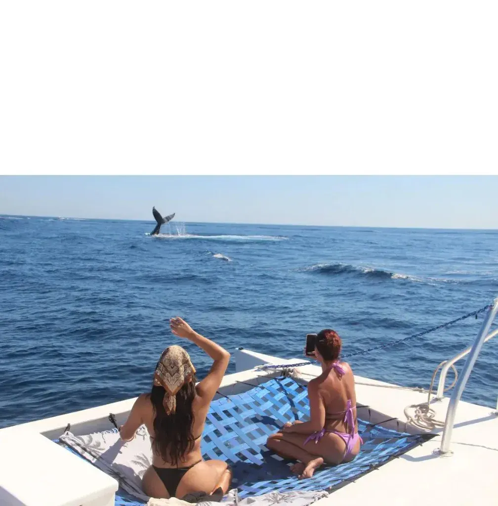 La Gringa Cabo — official 40ft private catamaran at The Arch in Cabo San Lucas