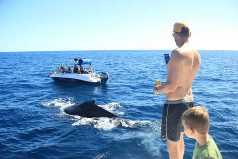 Cabo sailing gallery image 24